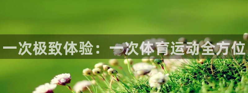 凯发官网下载招商:一次极致体验:一次体育运动全方位