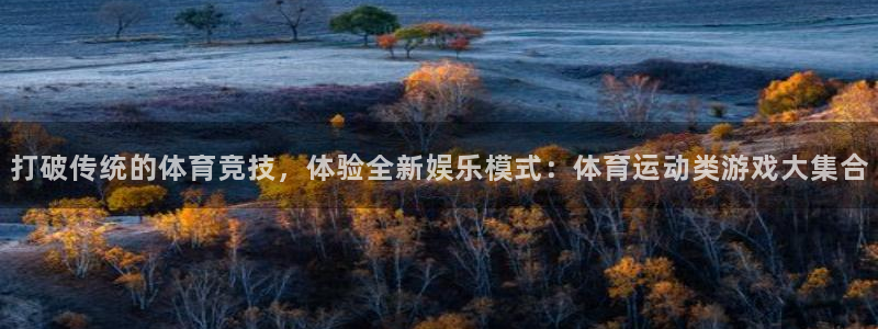 凯发官方正版app娱乐首页网站大全:打破传统的体育竞技,体验