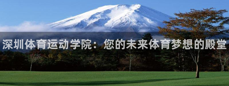 凯发官方正版app集团官网网址:深圳体育运动学院:您的未来体