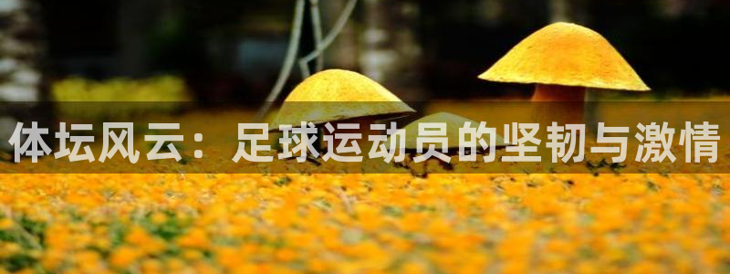 德国凯发官方正版app集团:体坛风云:足球运动员的坚韧与激情