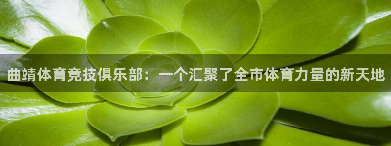 凯发官方正版app官网:曲靖体育竞技俱乐部:一个汇聚了全市体