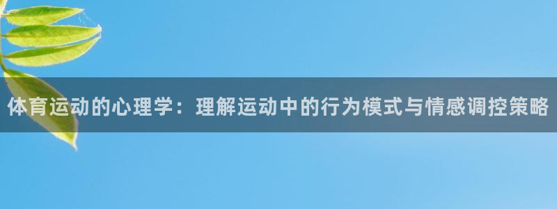 凯发官方正版app集团官网首页:体育运动的心理学:理解运动中
